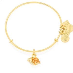 Alex and ani hermit crab bracelet